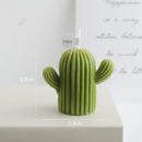 Velas Decorativas: Cactus Glow