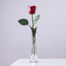 Vela Decorativa: Rosa Encantada